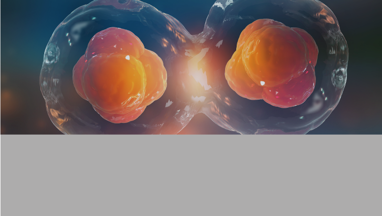 Células madre y retinopatía diabetética: de modelos a la realidad