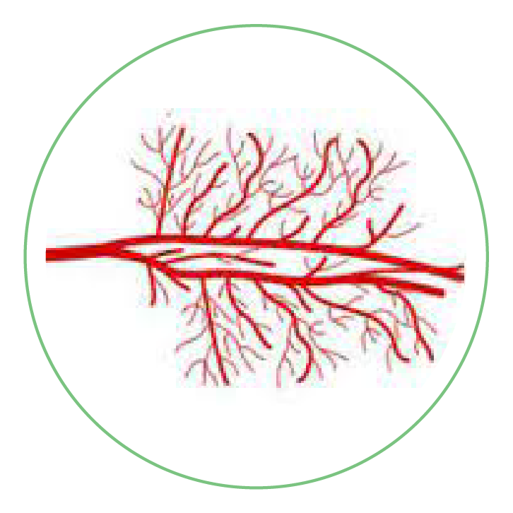 Image link