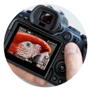 E_Foto 2-2