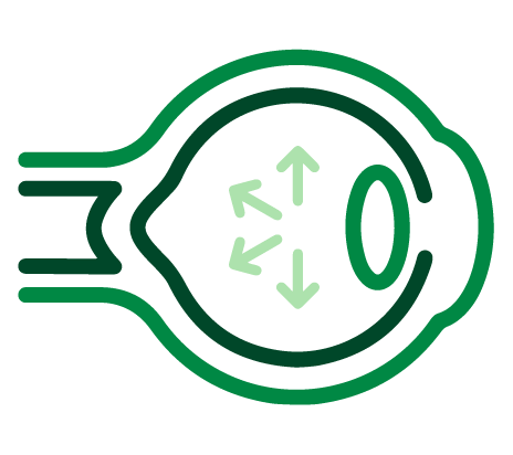 E_Icono 1