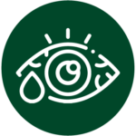 E_Iicono 5-11