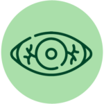 E_Iicono 5-12