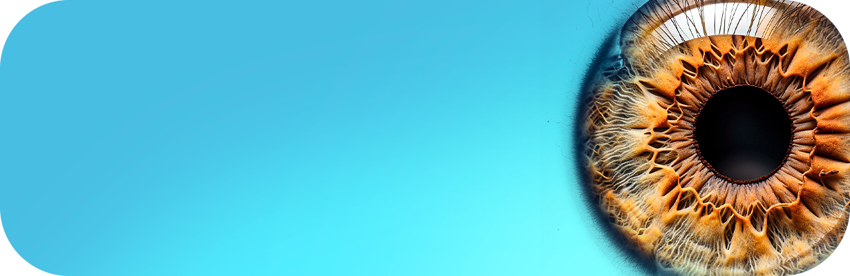 ZonakerZero-Banner