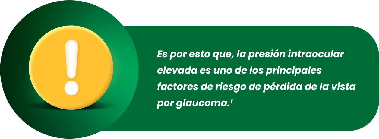 Elemento gráfico glaucoma y riesgo de pérdida de la visión o ceguera
