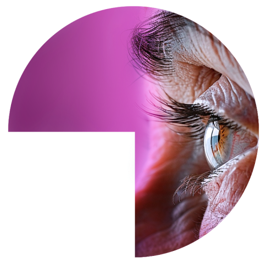 Elemento gráfico sección degeneración macular