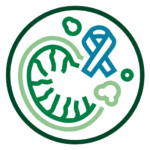 E-web_Icono 2