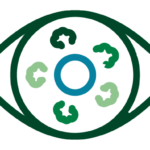 E-web_Icono 3