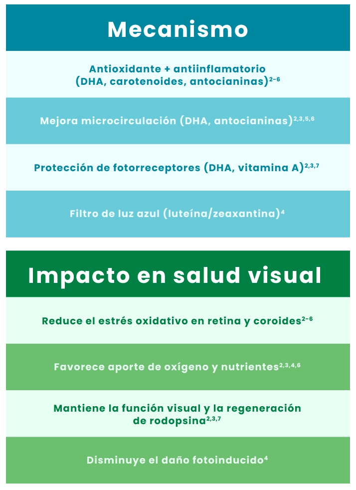 E_Cuadro con Texto
