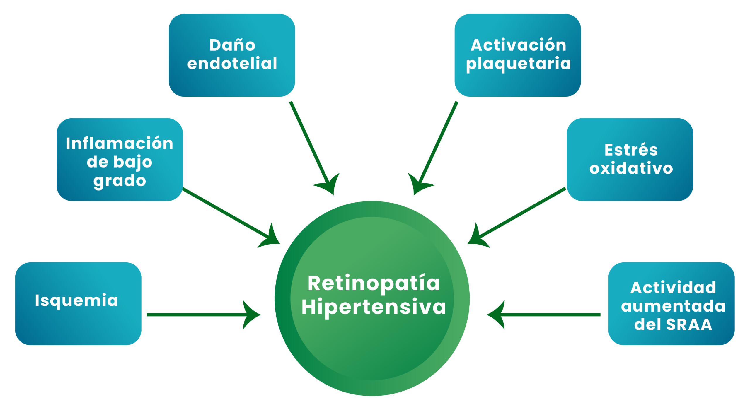 E_Gráficas